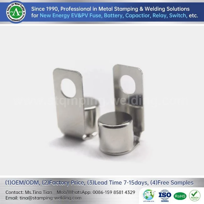Integrated End Caps For PV Fuse