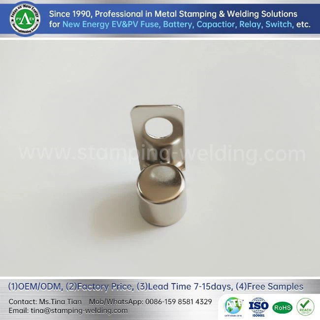 Electrical Fuse Caps For EV